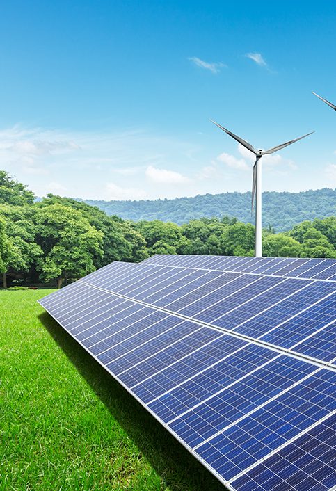 Solar panels and wind turbines in green grass field